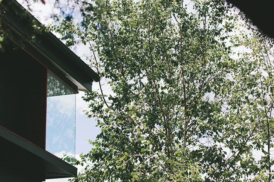 Exterior view of a building and tree