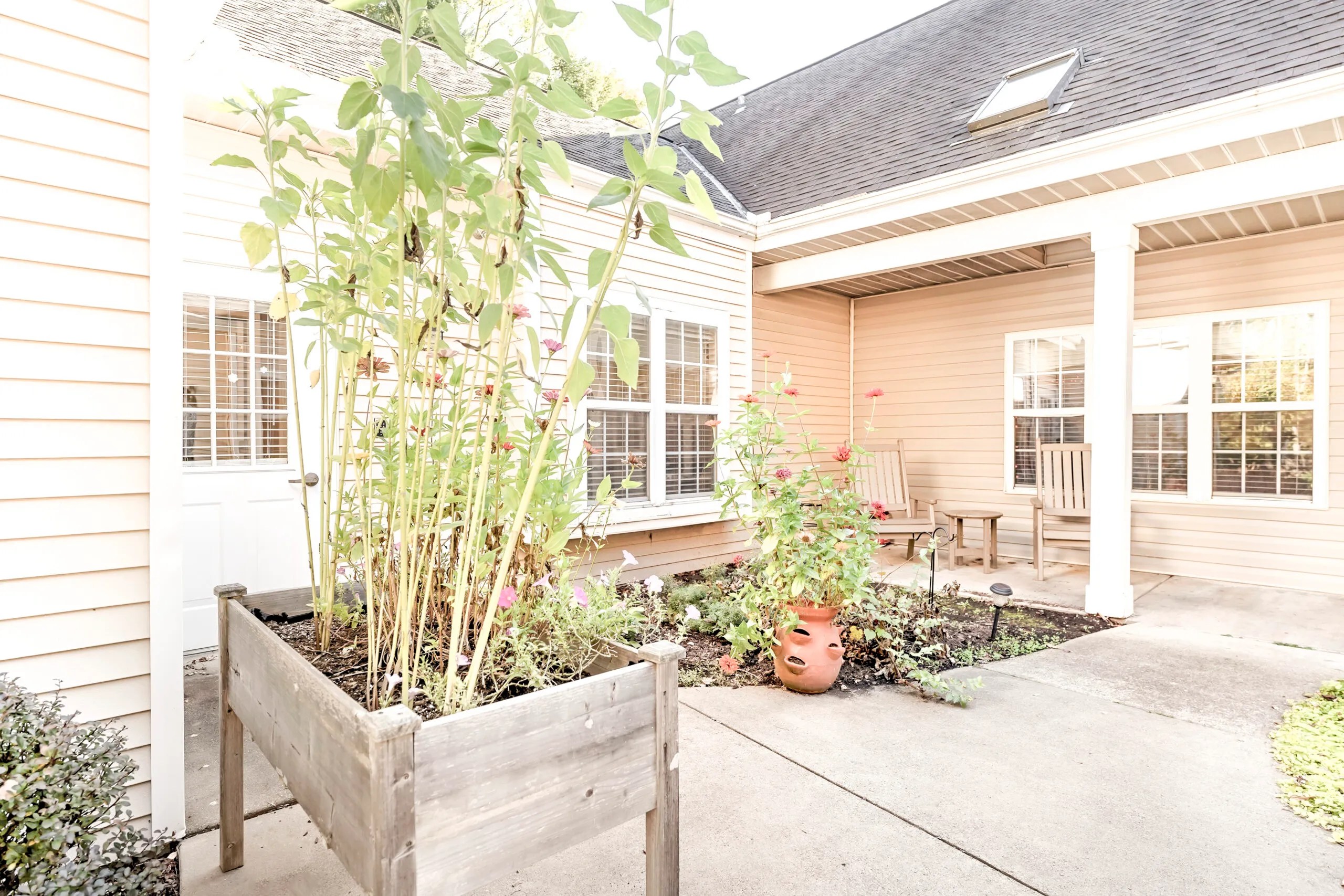 Outdoor area with plants and seating