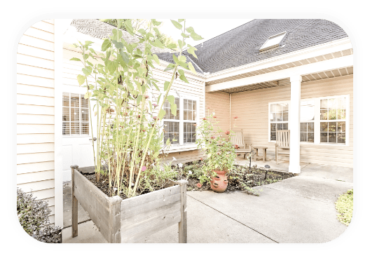 Outdoor garden area with seating and plants.