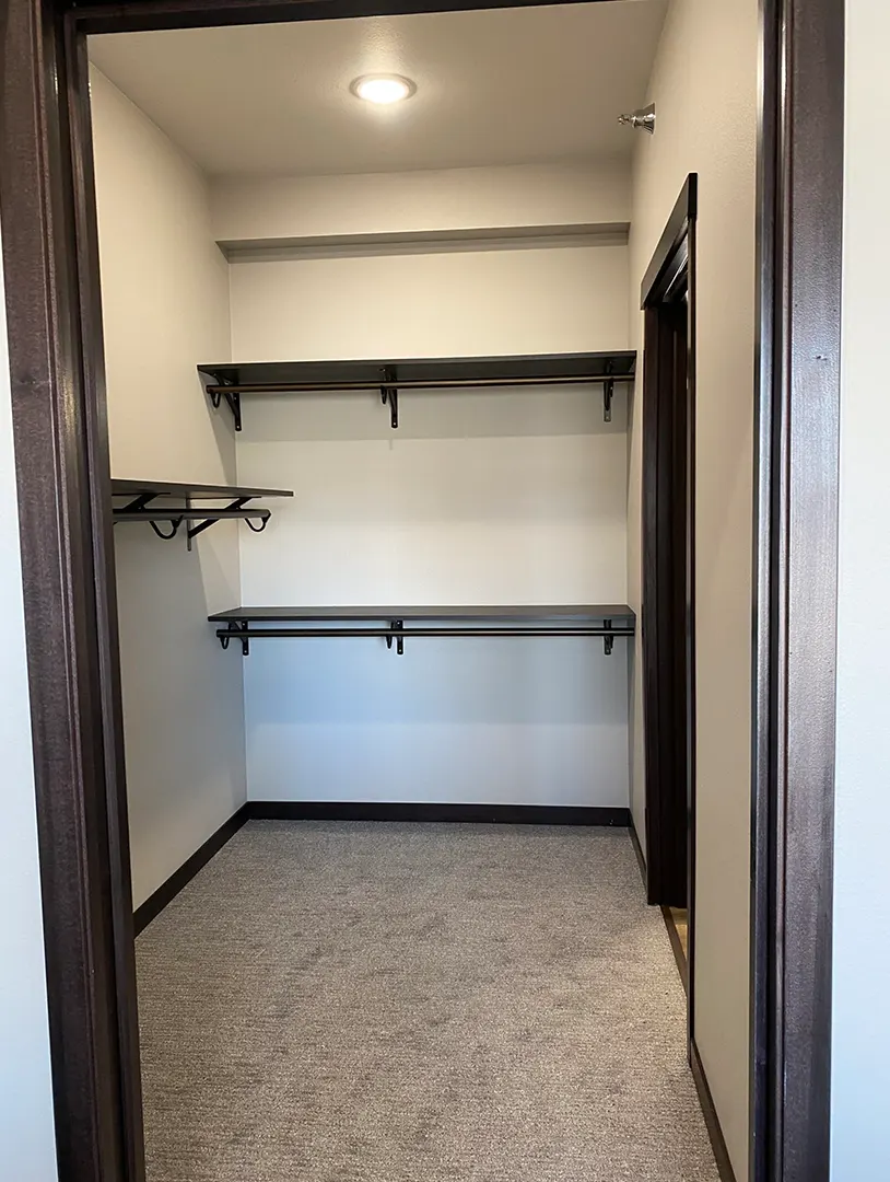 Interior of an empty closet space.