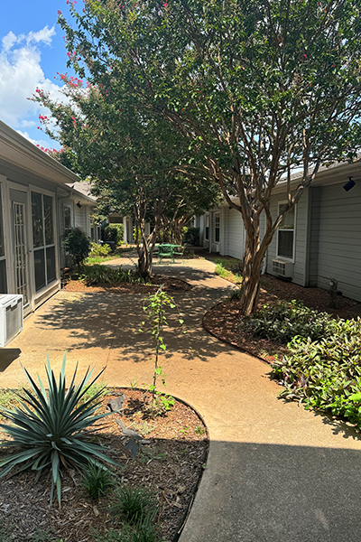 Well-maintained garden pathway between buildings.