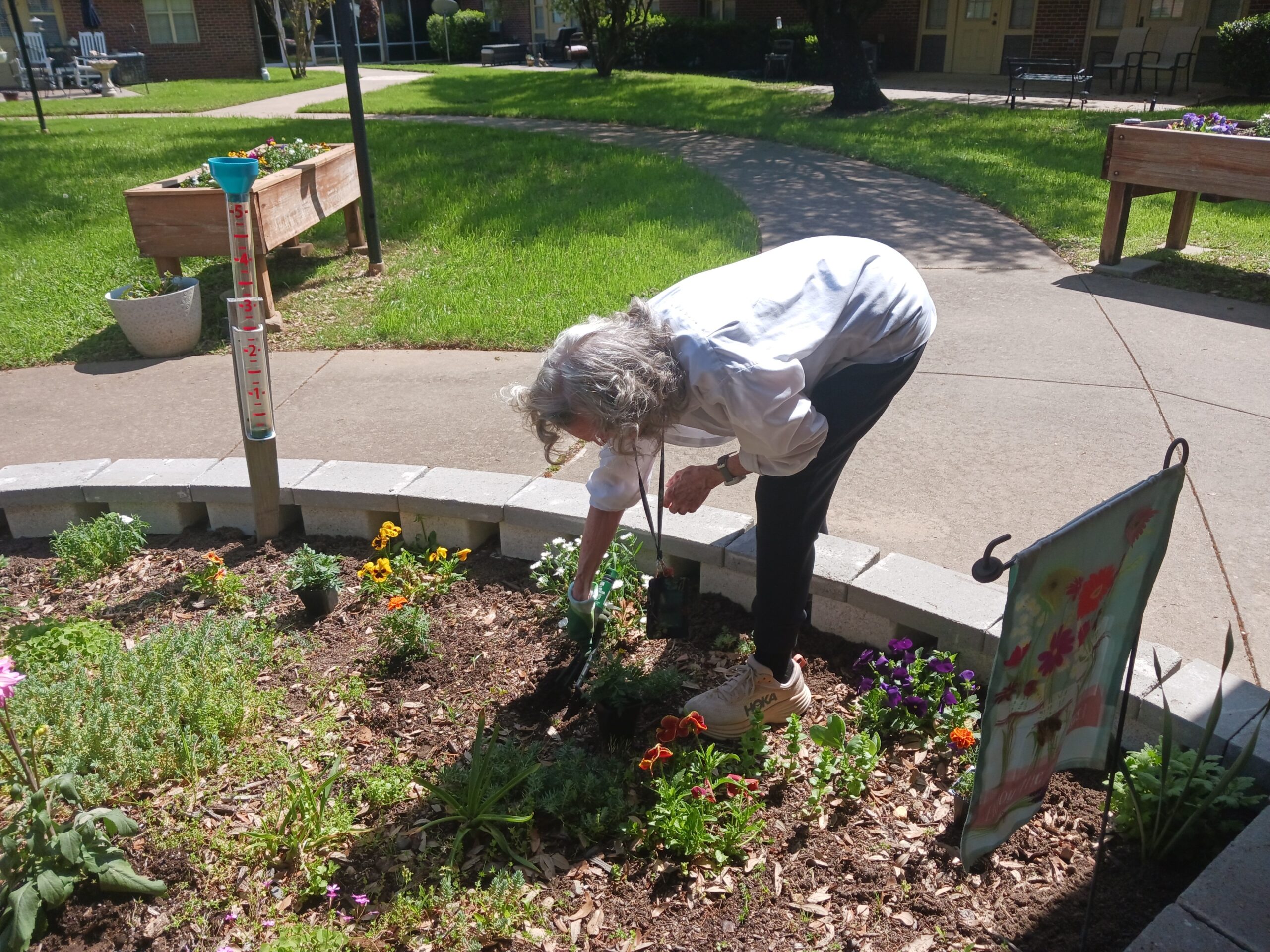 Senior resident tending to garden flowers.