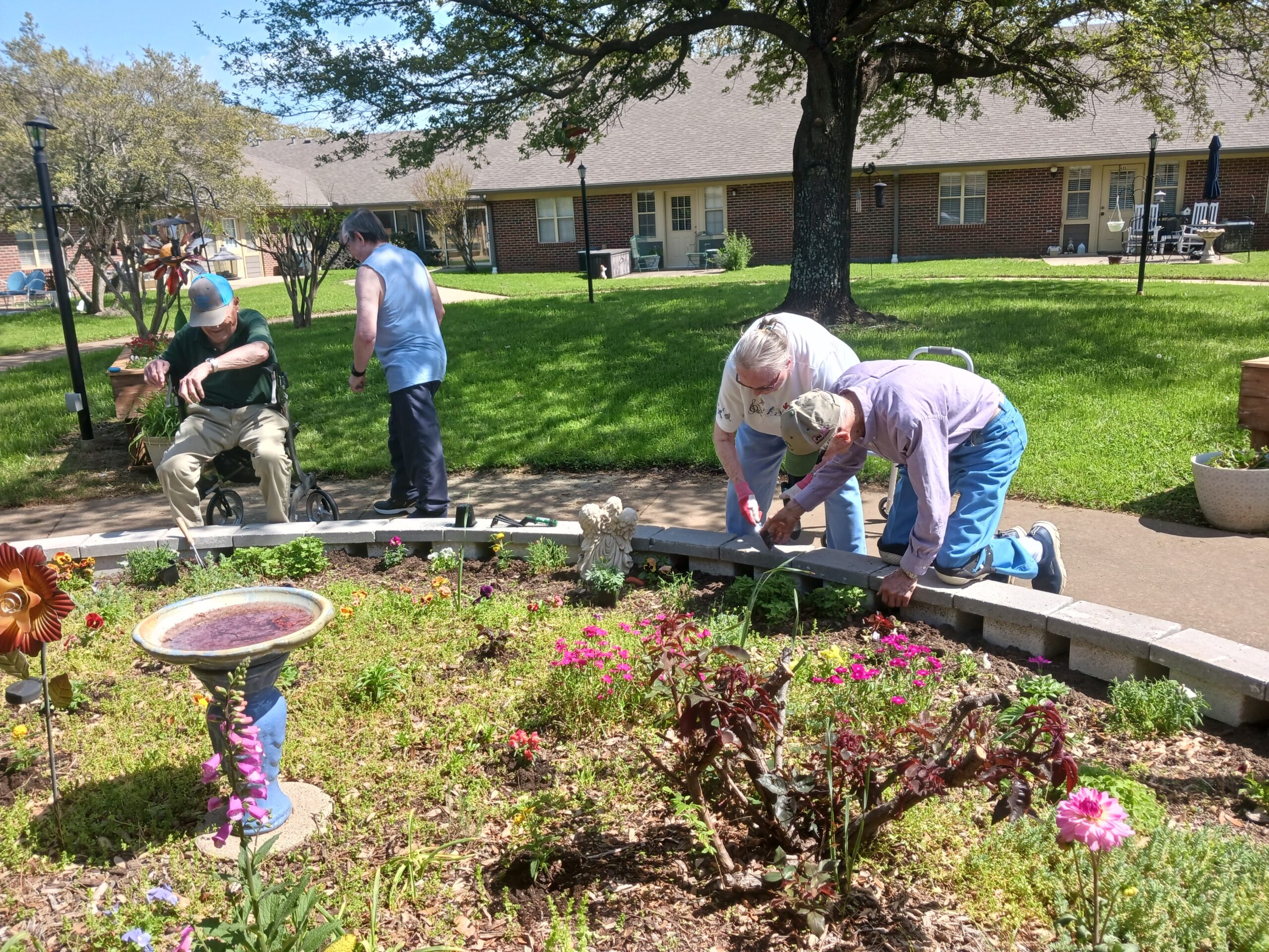 Residents gardening in the outdoor space