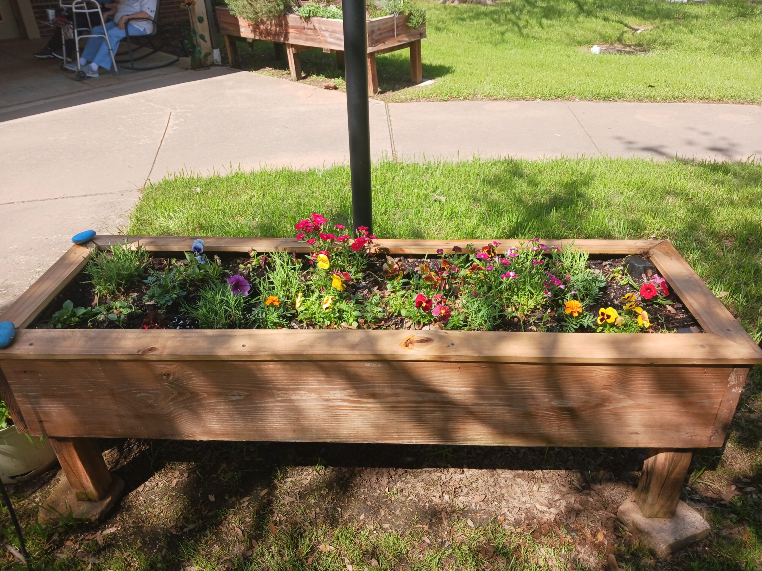 Vibrant flower bed in outdoor space