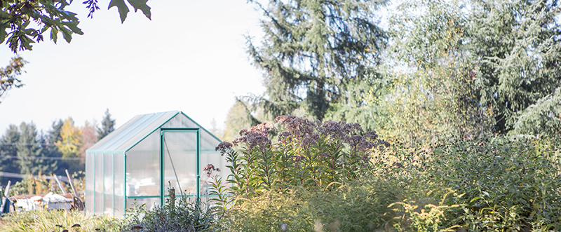 Greenhouse surrounded by flowering plants.