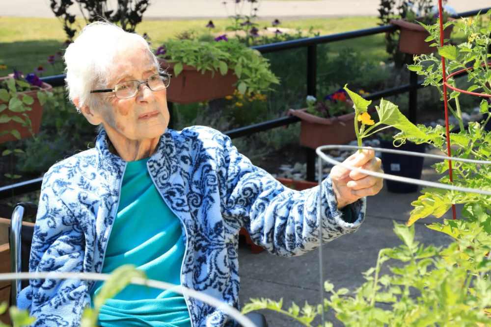Elderly woman tending to a garden