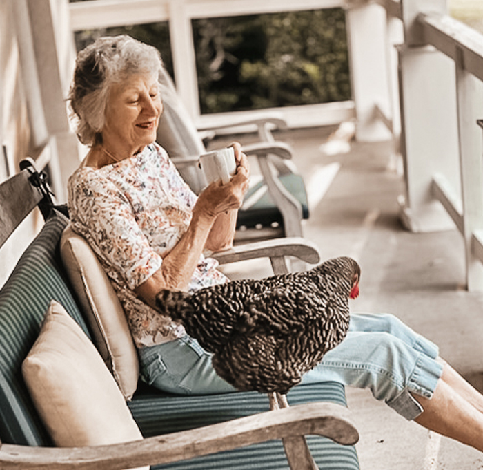 Senior woman enjoying tea on a porch with a chicken.