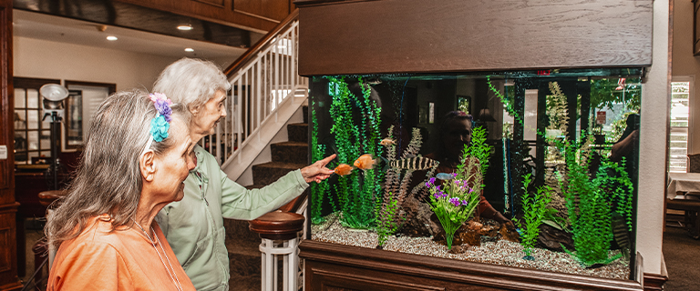 Residents interacting with an aquarium