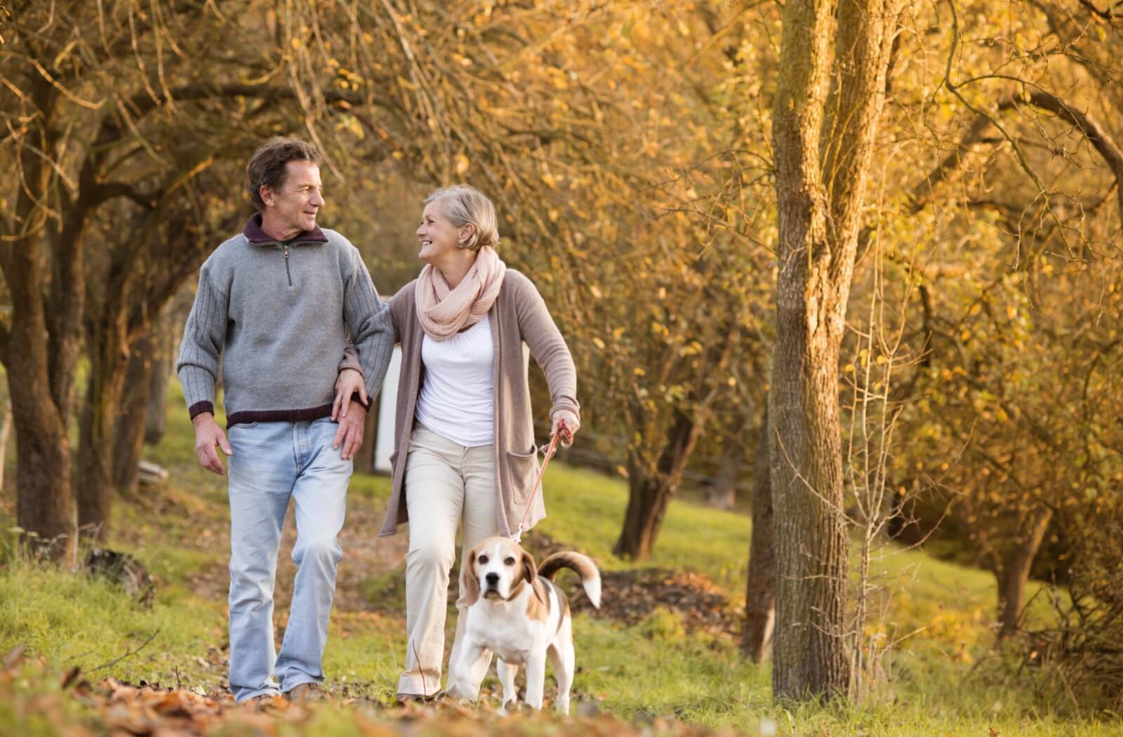 Couple walking their dog among trees