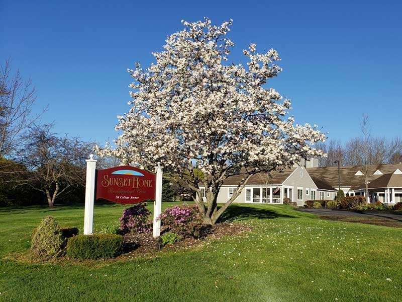 Exterior view of Sunset Home with blooming tree