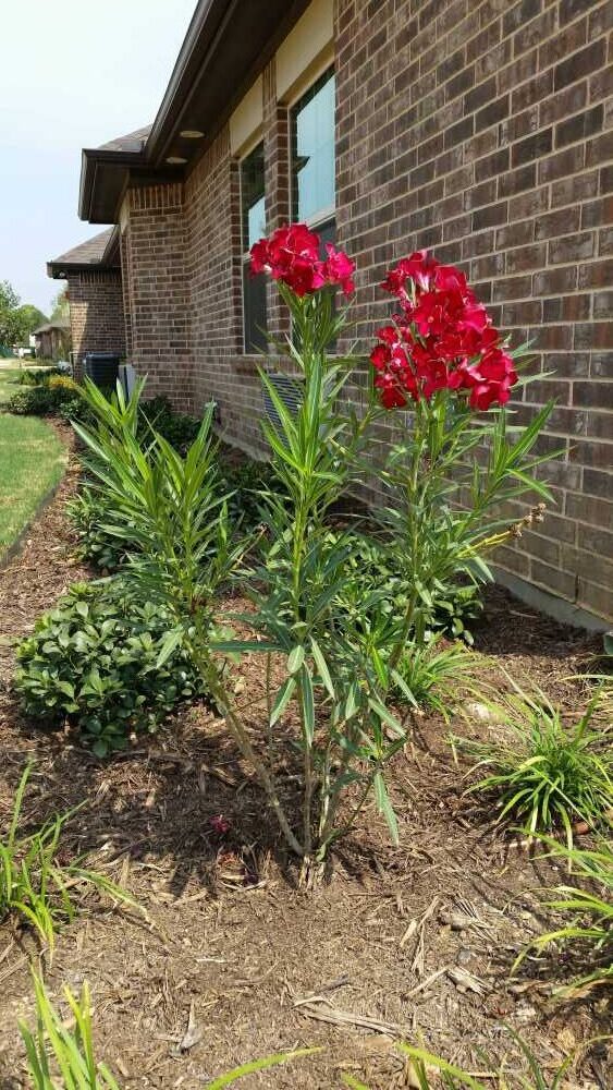 Mayberry Gardens Assisted Living