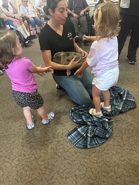 Woman holding a small animal with children interacting.