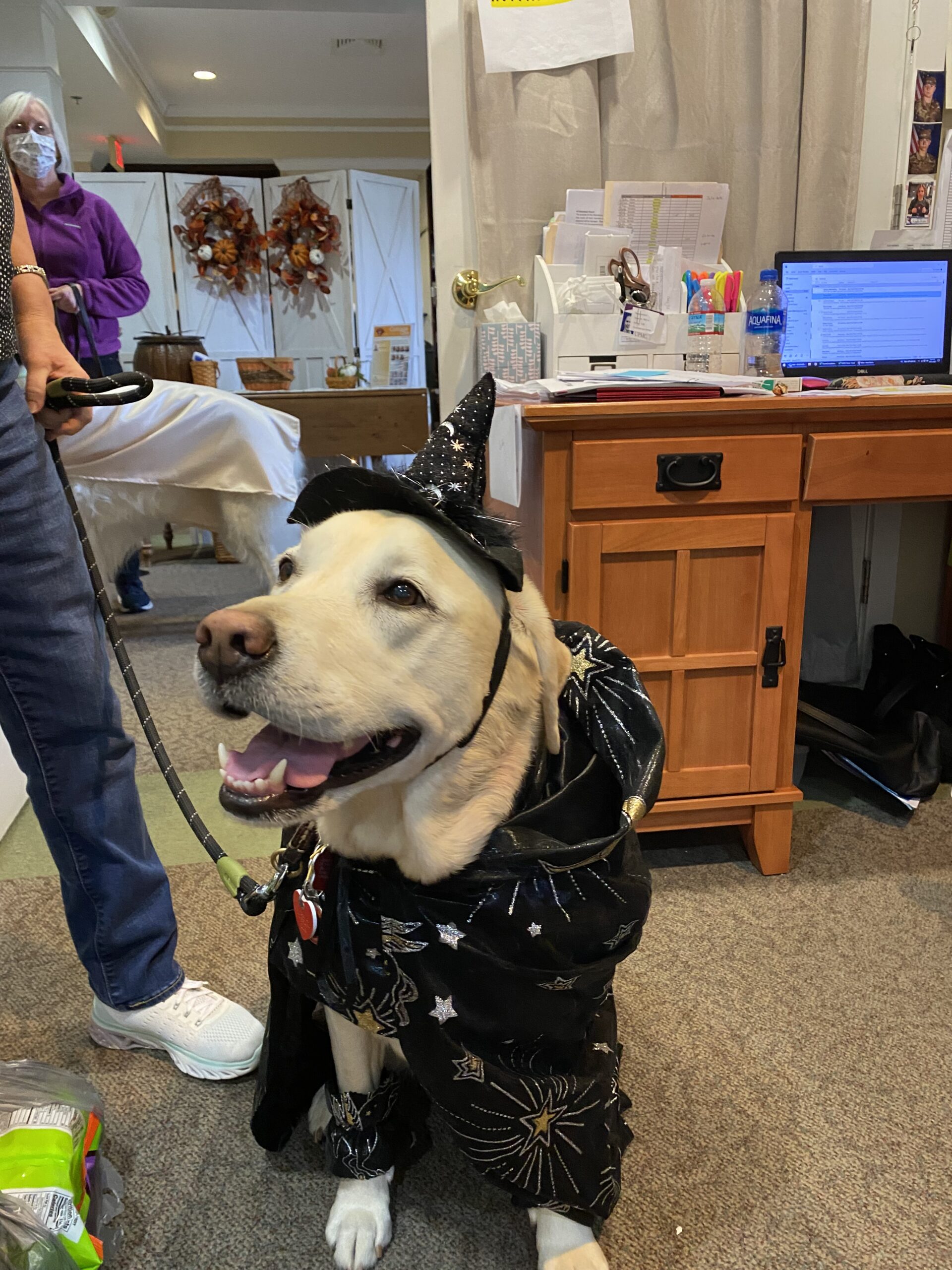 A dog in costume with residents and staff in background.