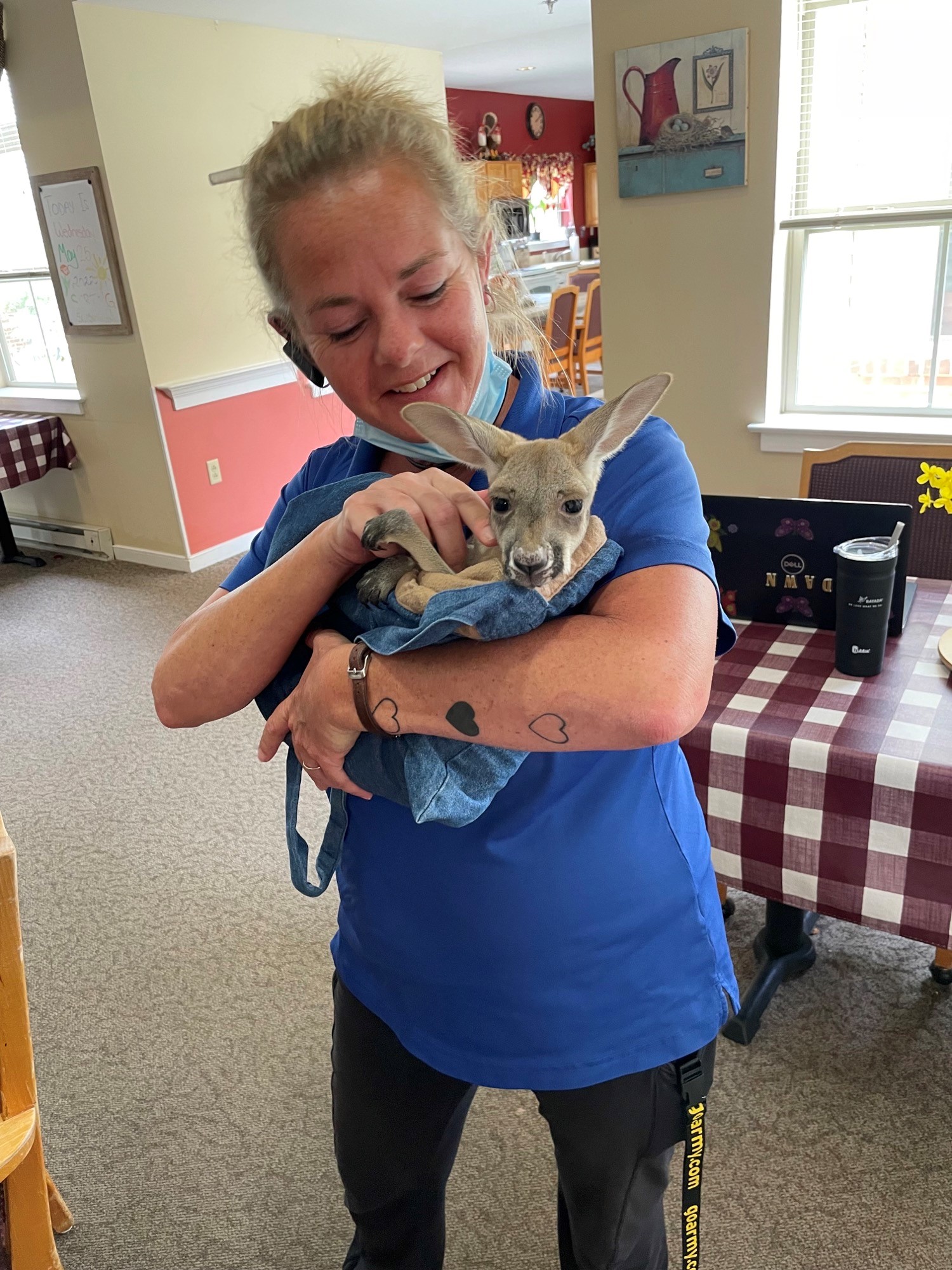 Staff member holding a small animal indoors