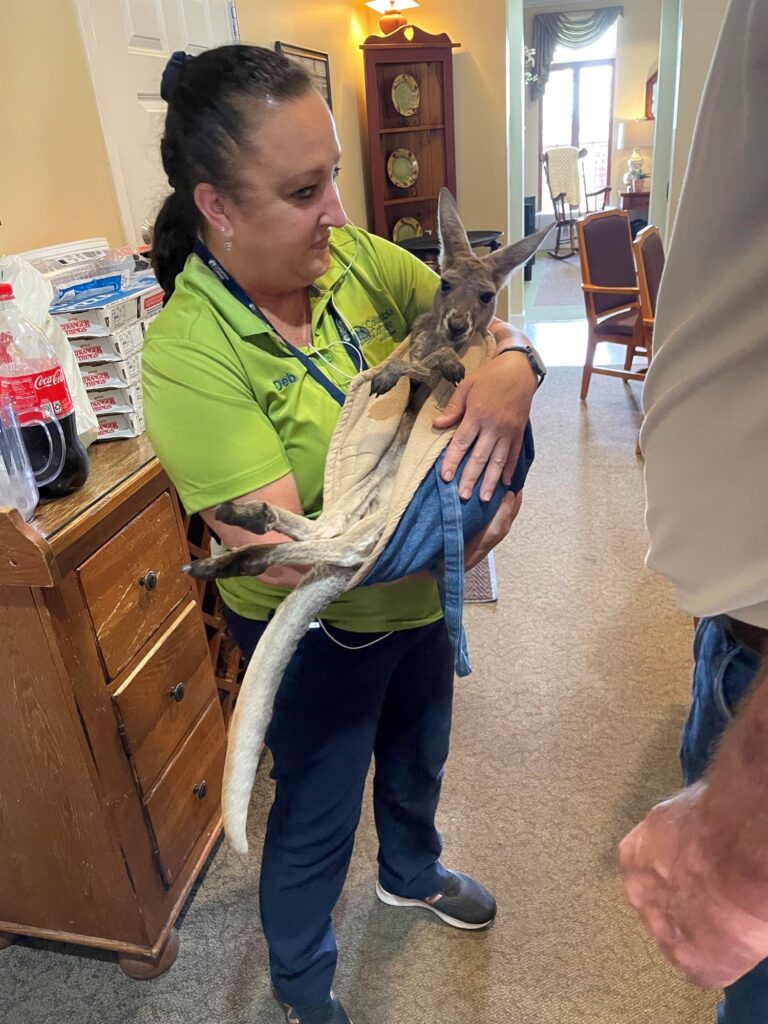 Staff member holding a kangaroo in the common area.