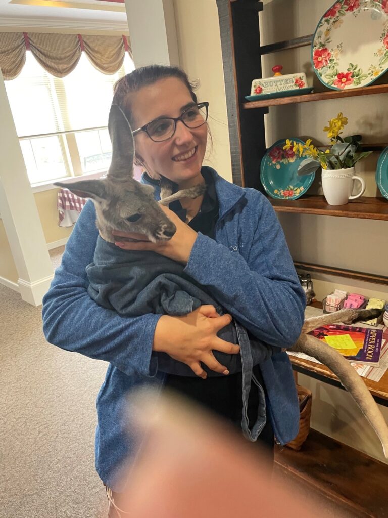 Staff member holding a kangaroo indoors