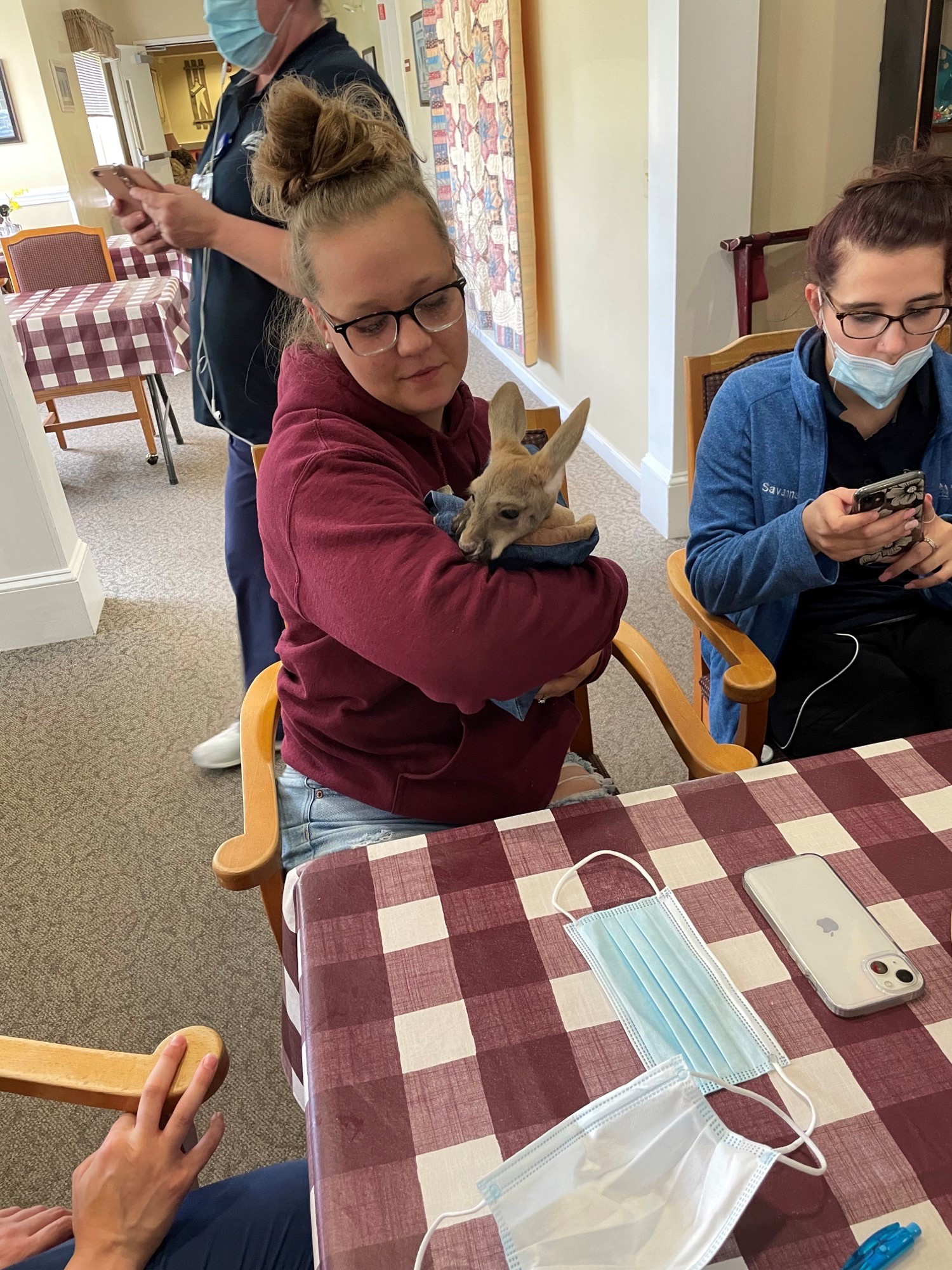 Residents and staff interacting with a pet bunny