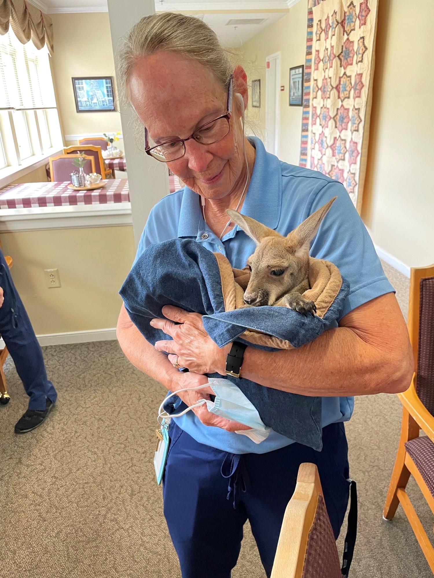 Staff member holding a baby kangaroo indoors.