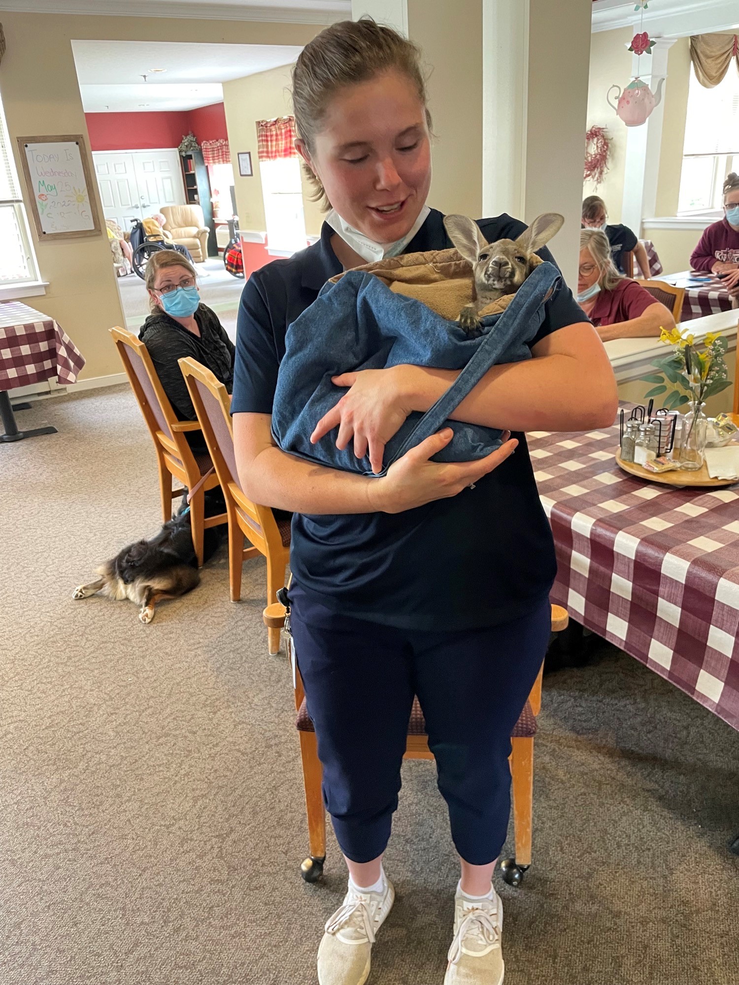 Staff member holding a small animal in a common area.