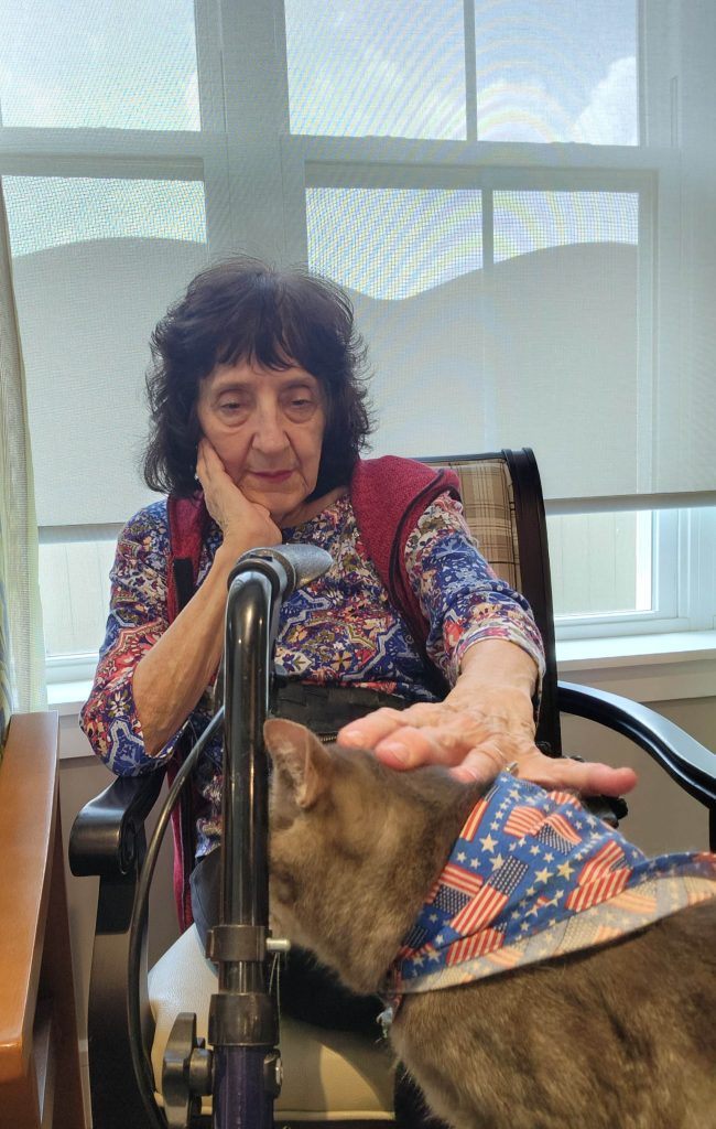 Older woman interacting with a cat indoors