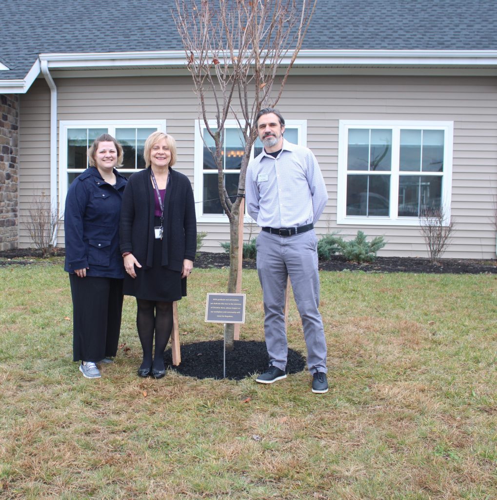 Three staff members posing by a newly planted tree.