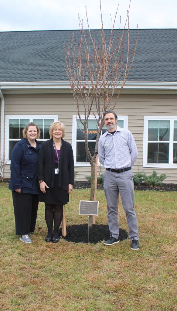 Three staff members posing beside a newly planted tree.
