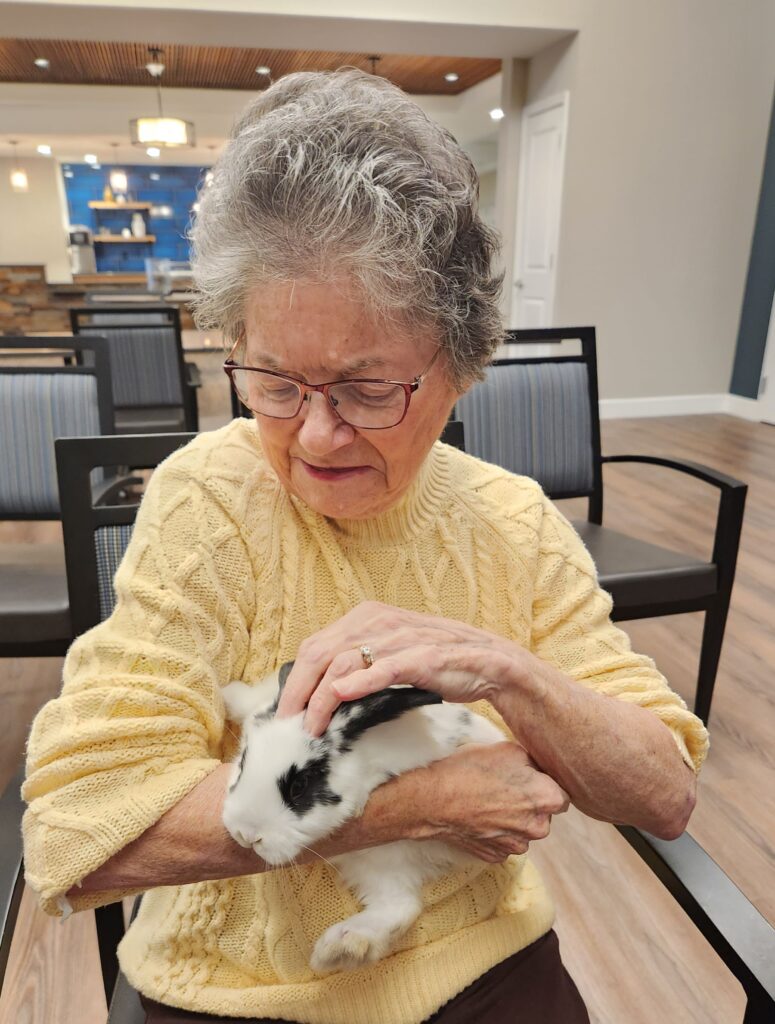 Senior resident interacting with a rabbit indoors.