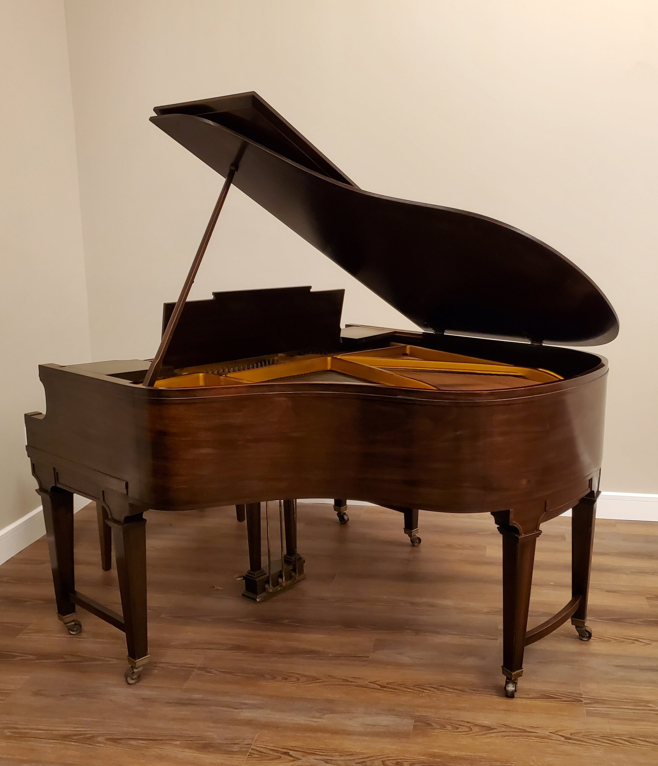 Grand piano in a facility's interior space.