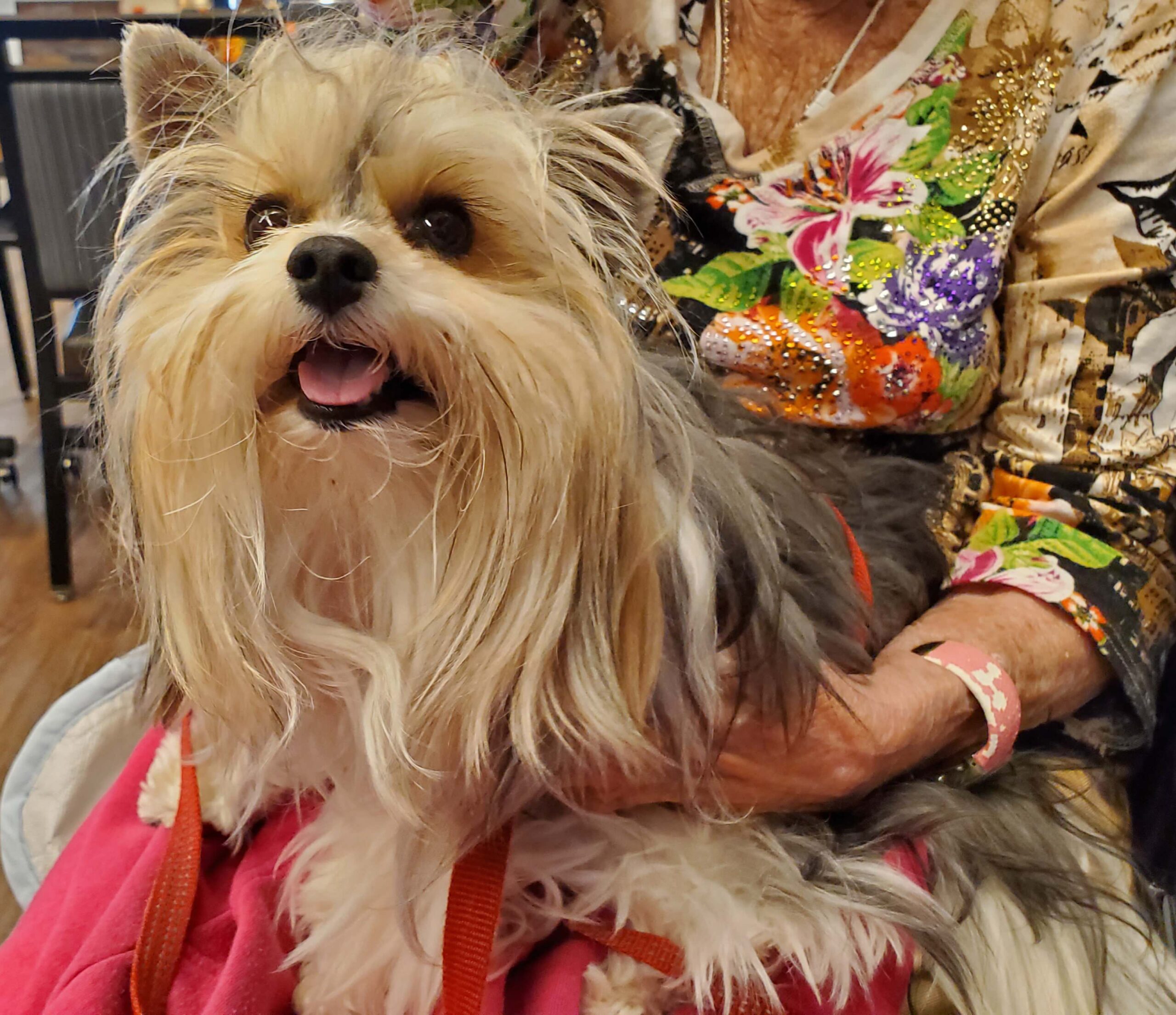 Resident holding a small dog in a common area.