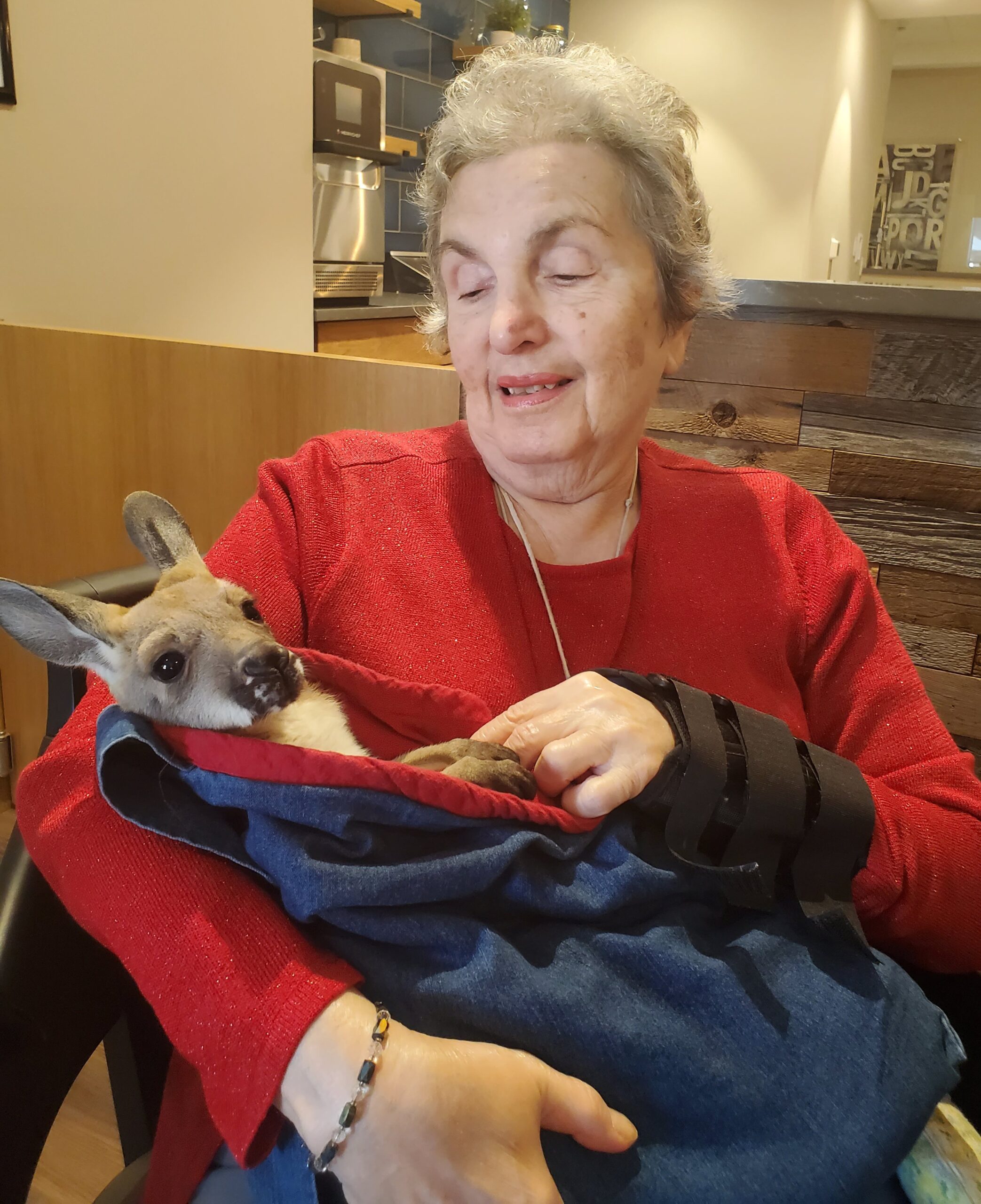 Resident holding a kangaroo in a cozy setting.