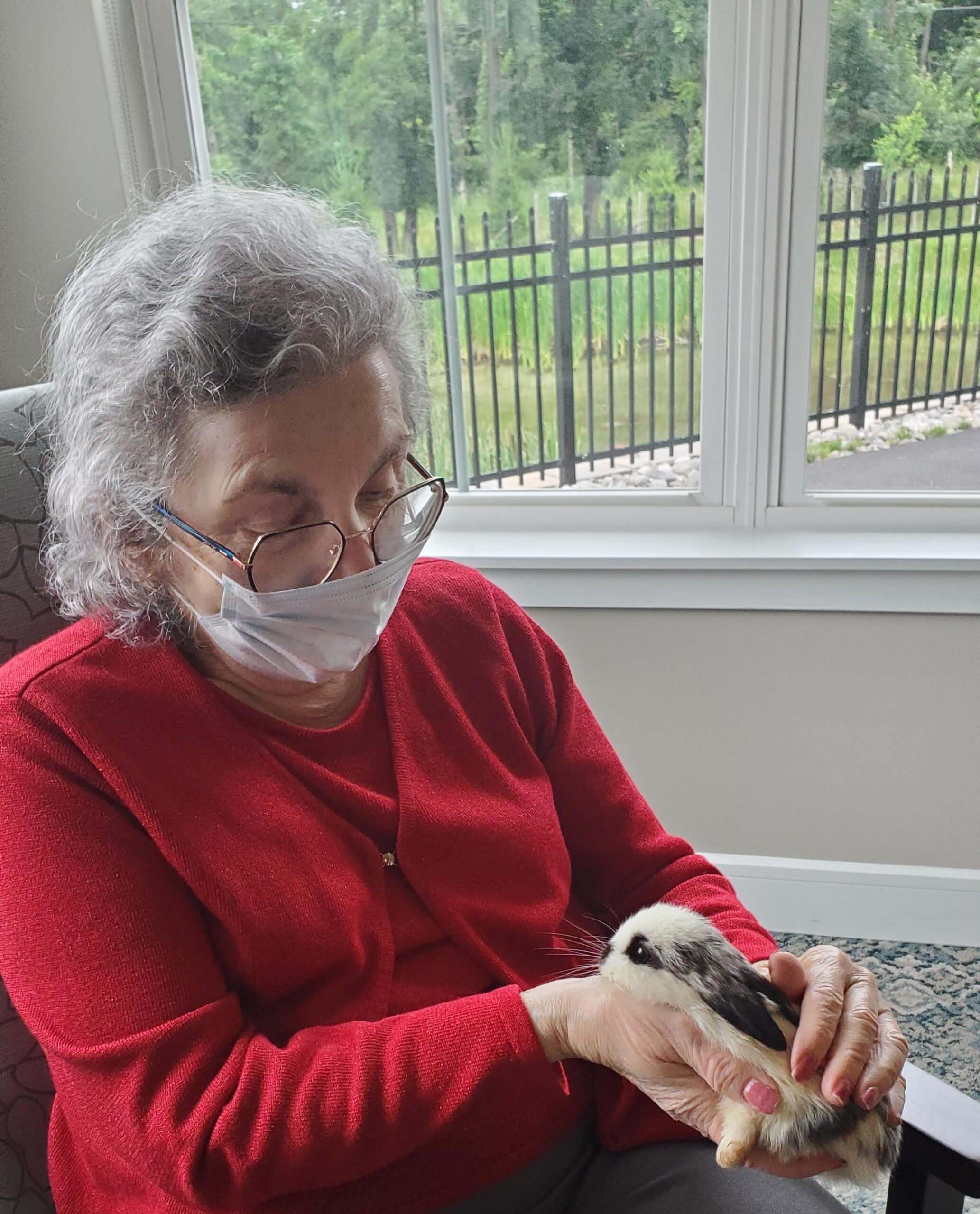 Senior woman holding a rabbit indoors.