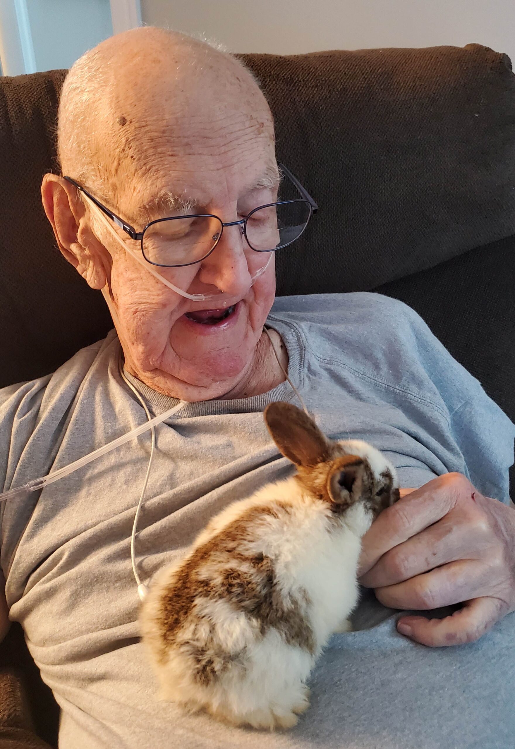 Senior man happily interacting with a pet rabbit.