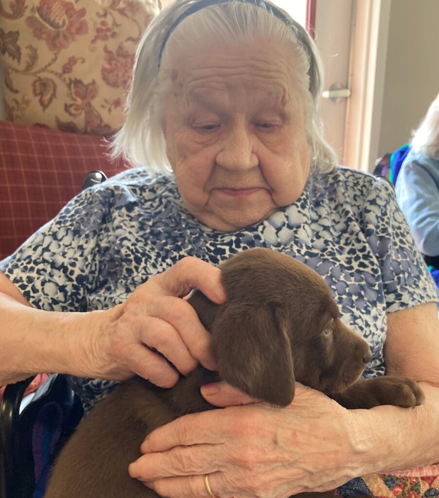 Senior woman holding a puppy indoors.