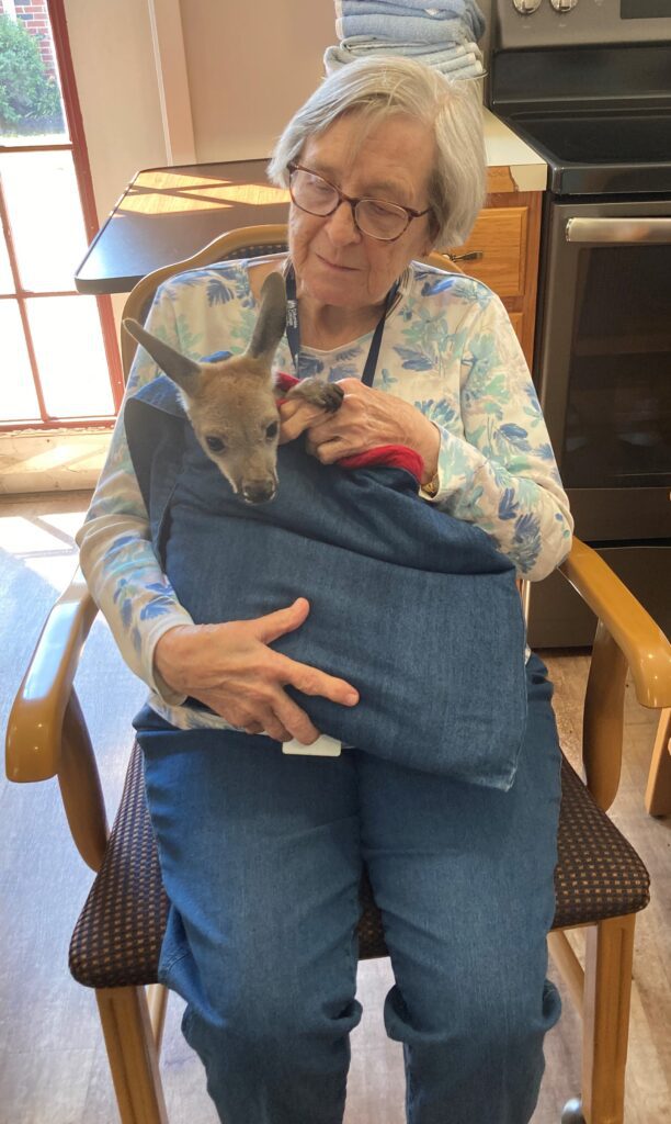 Resident holding a kangaroo in a cozy setting.