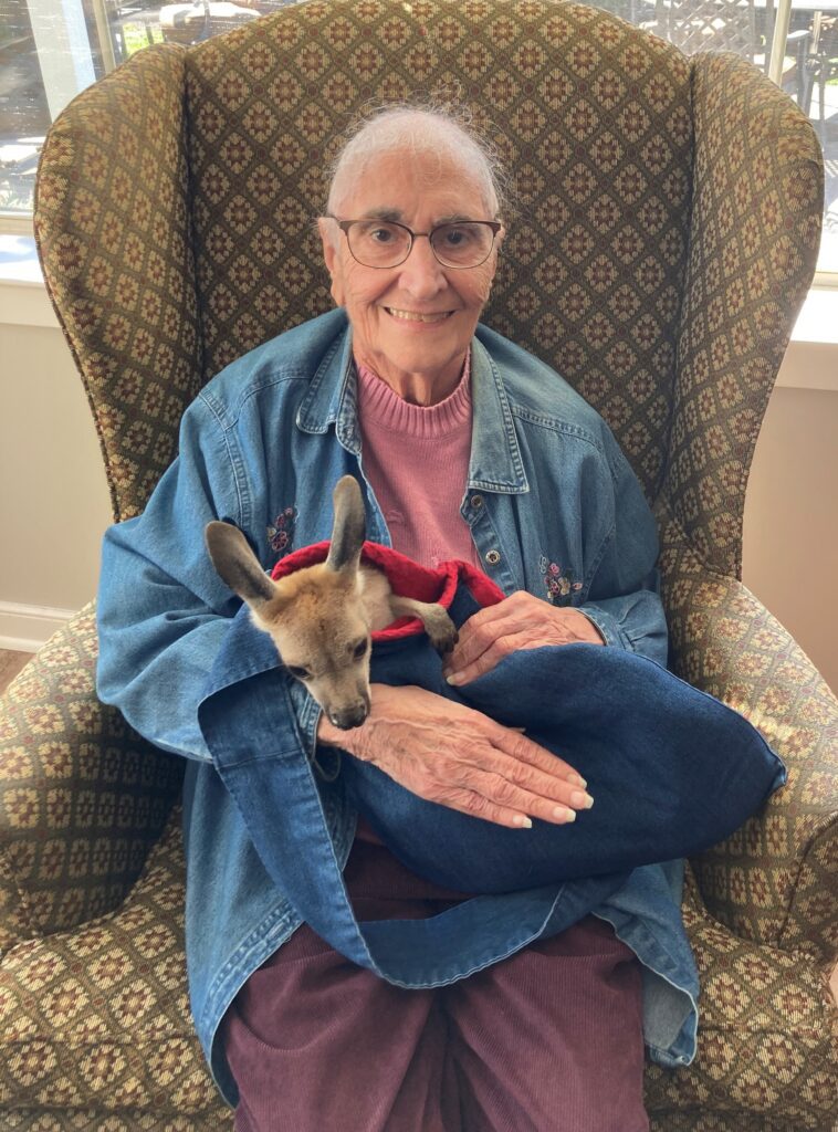 Senior woman holding a baby kangaroo in her lap