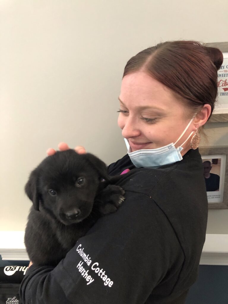 Staff member holding a puppy indoors
