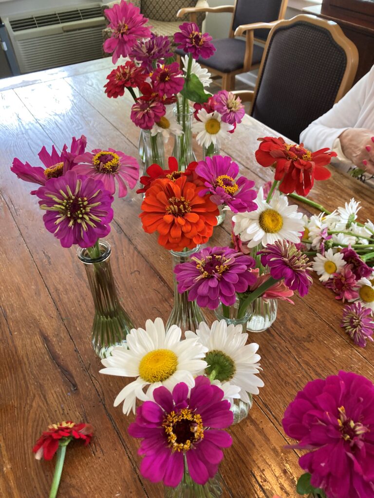 Colorful flower arrangements on a table
