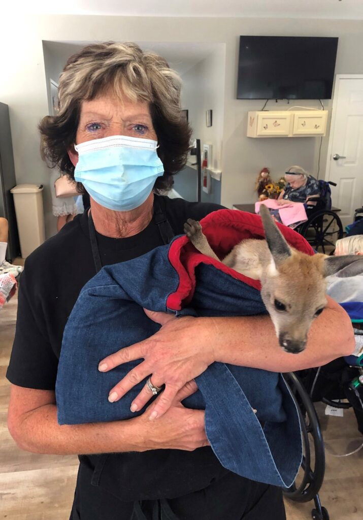 Staff member holding a small animal indoors