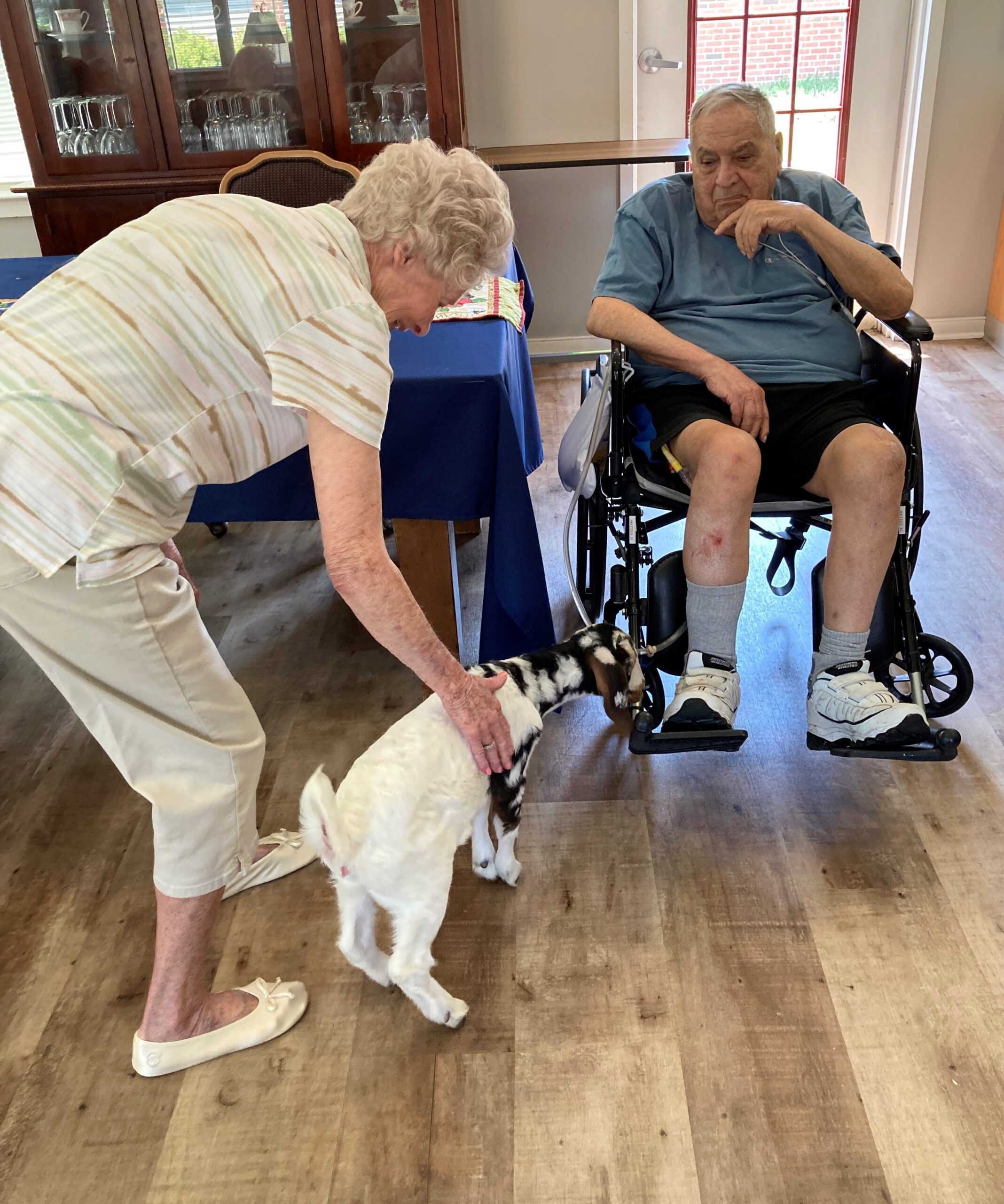 Resident interacting with a pet goat in the common area.