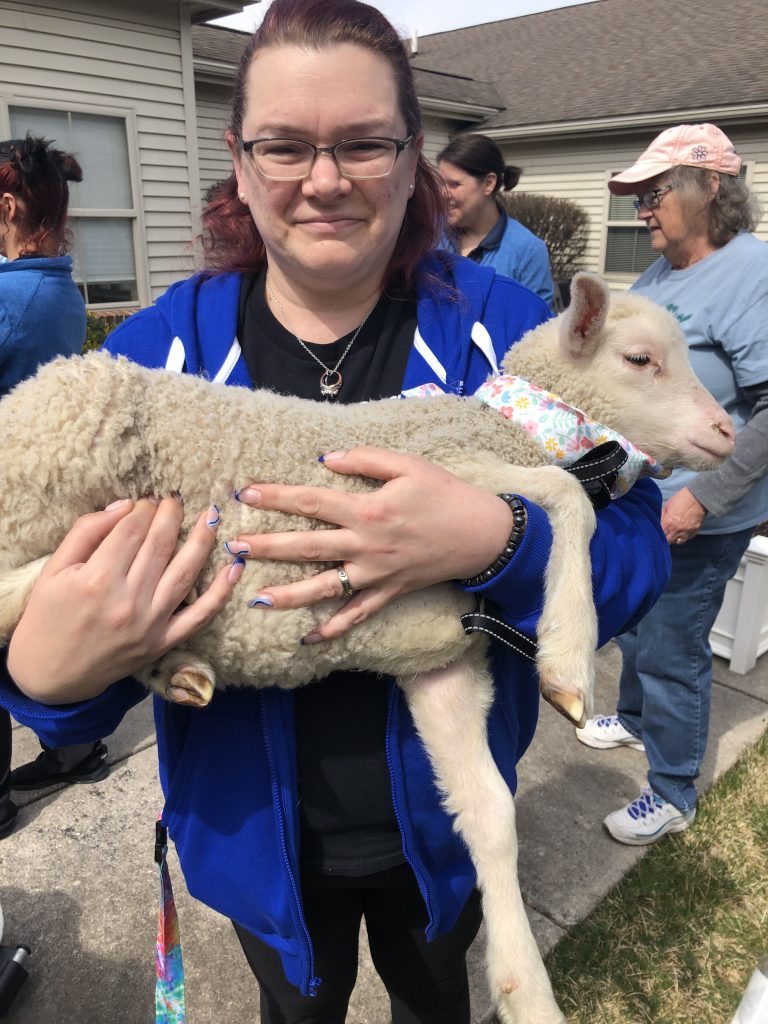 Staff member holding a sheep outdoors.