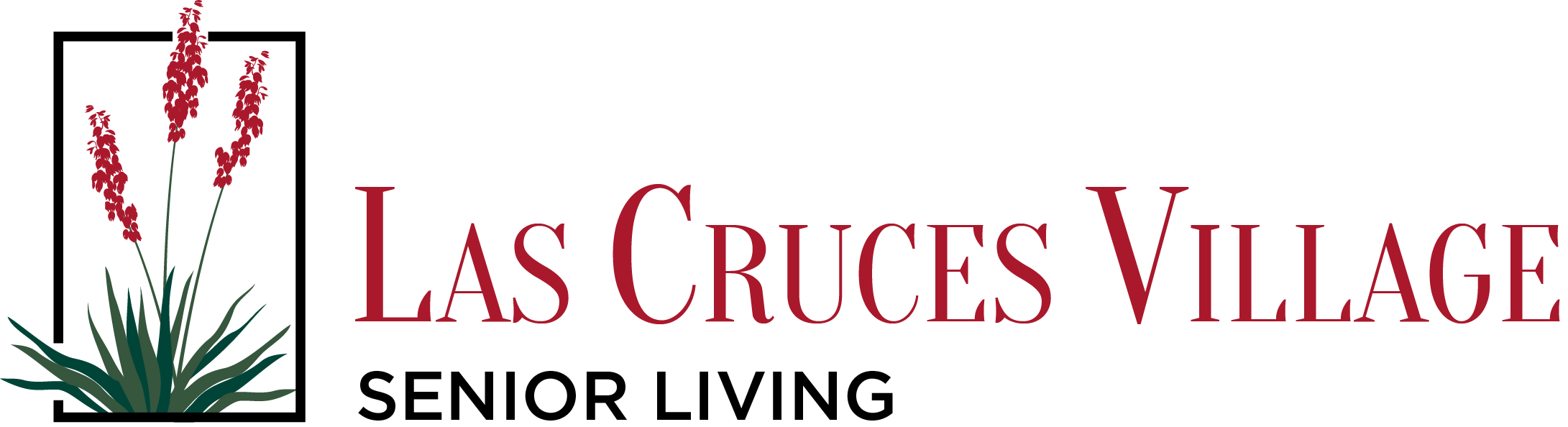 Las Cruces Village Assisted Living LLC