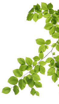 All Seasons Senior Living of Cedar City