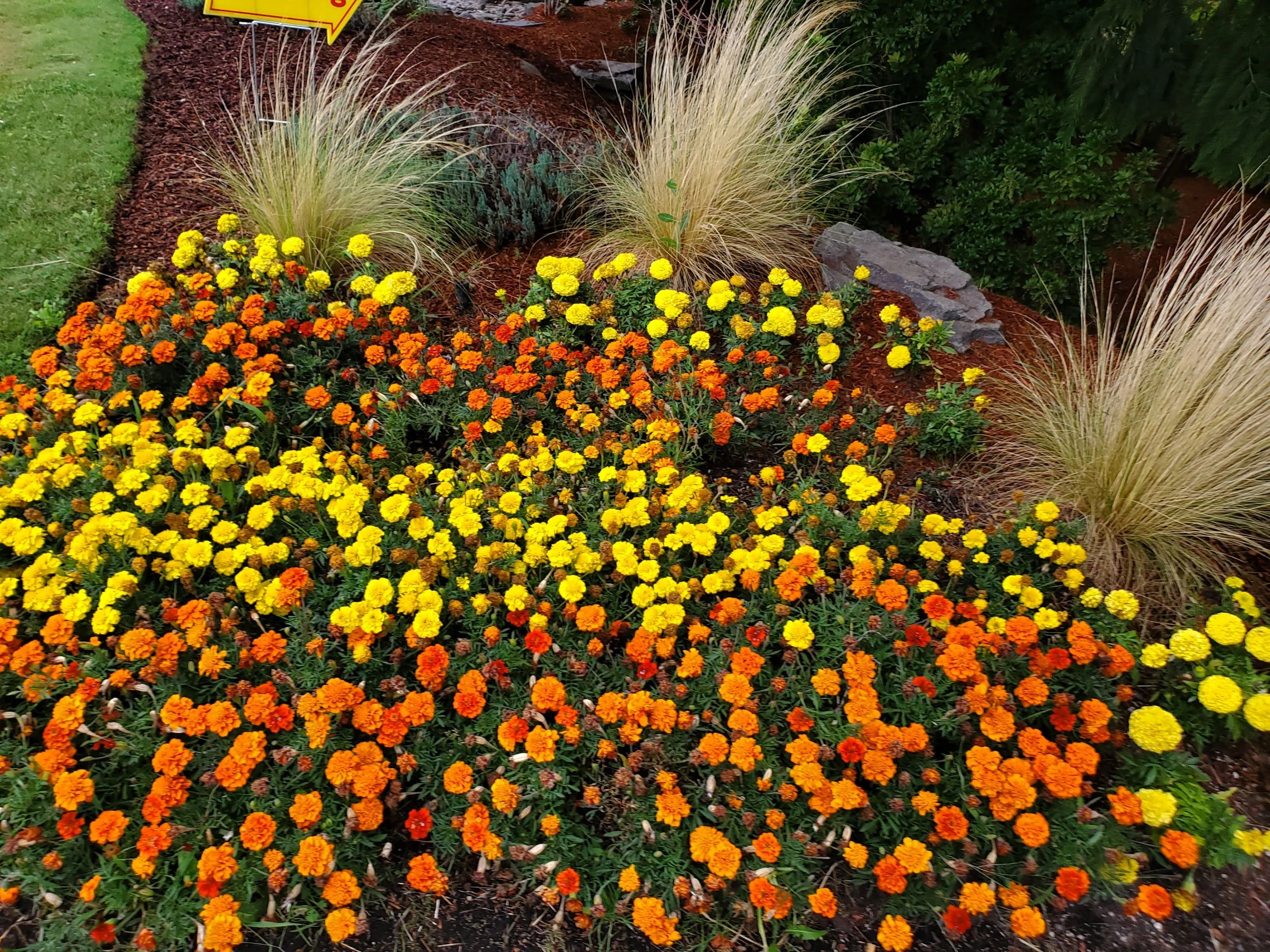 Hillview Senior Living