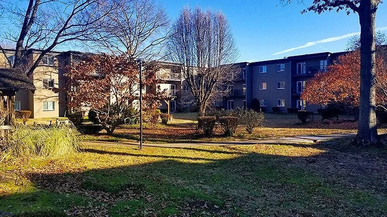 Sycamores Terrace LLC — photo 1