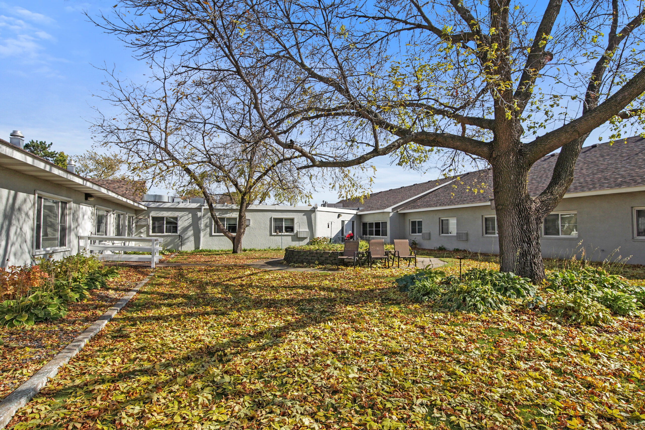 Outdoor area with benches surrounded by autumn leaves
