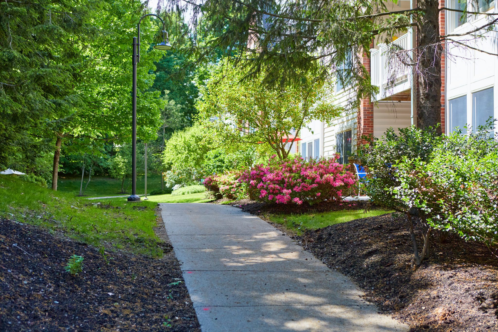 Pathway through well-kept gardens at Lasell House