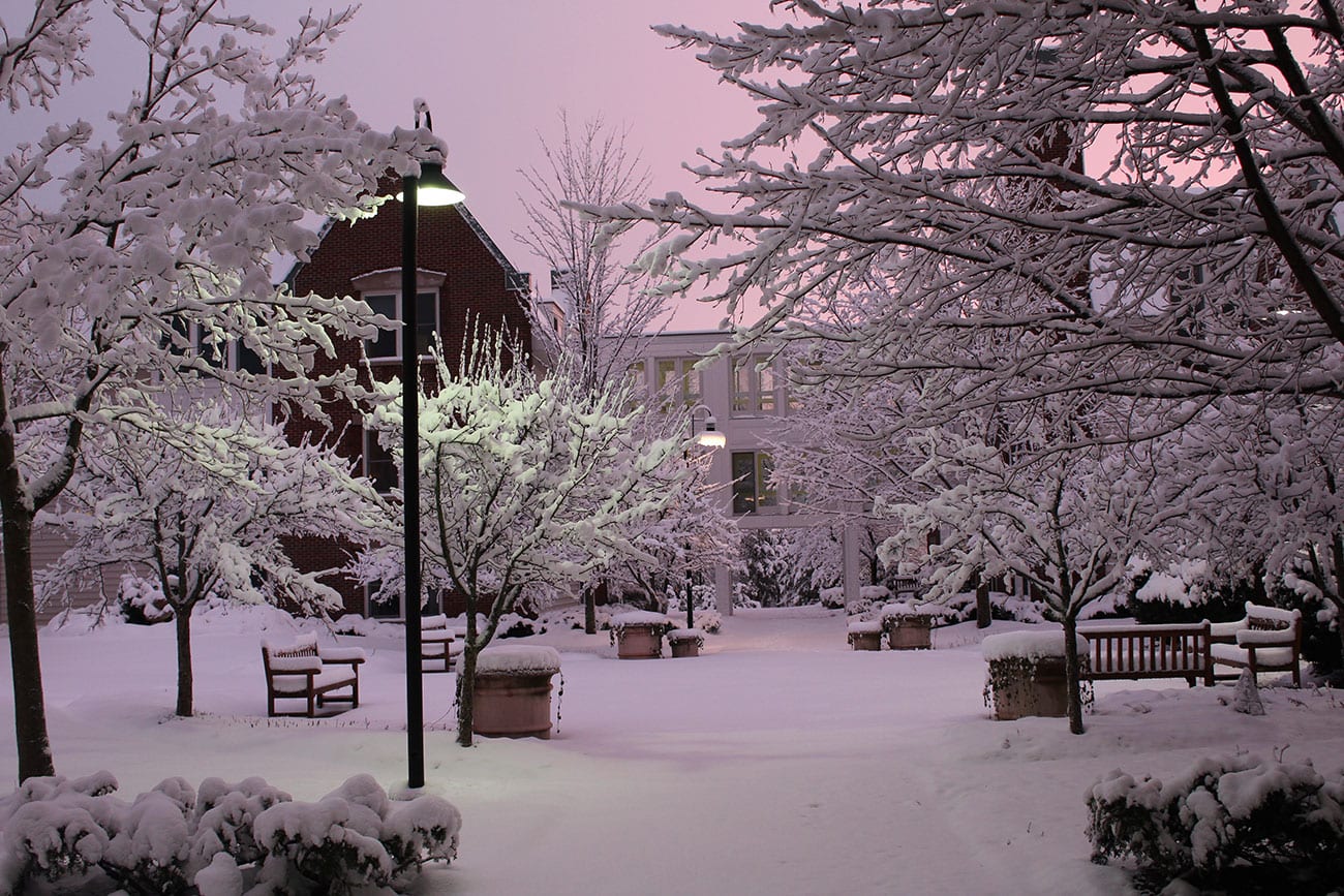 Snow-covered outdoor space with benches and trees