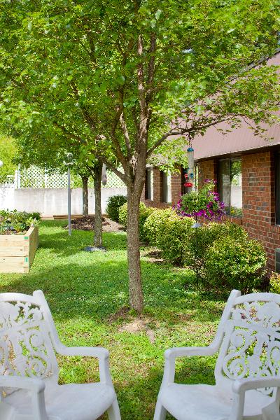 Outdoor space with green grass and chairs under trees