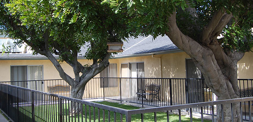 Outdoor space with trees and seating area
