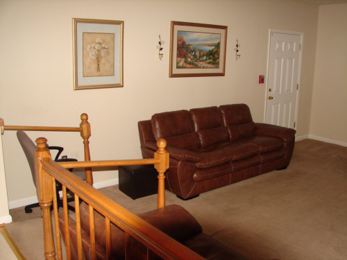 Interior living room with brown sofas and artwork.